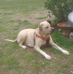 Meet your Posher, Debbie